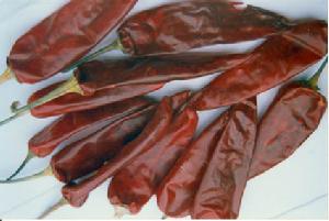 天水街亭溫泉度假村