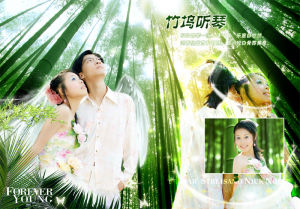 秦修然竹塢聽琴