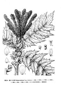 遵義十大功勞 遵義十大功勞