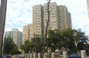 潘家園東里社區 潘家園東里社區