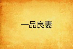 一品良妻 一品良妻