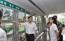 廈門電業局 廈門電業局