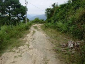 紙房自然村 紙房自然村