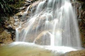 封開黑石頂自然保護區 封開黑石頂自然保護區