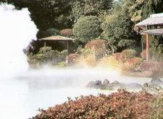 東大莊村 東大莊村