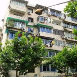 光新路250弄 光新路250弄