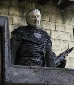 黑魚[布林登·徒利]