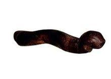 “死亡之蟲”雕刻是蒙古博物館的亮點