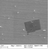 掃描電鏡下TiN夾雜