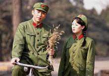 幸福像花兒一樣劇照