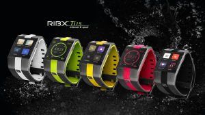 RIBX Ti15