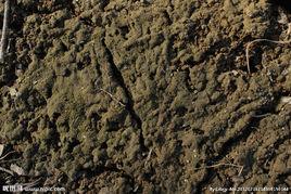 飽和容重 飽和容重