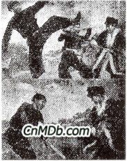 《關東小俠大戰女鏢師》