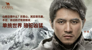 駱駝代言人