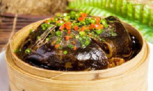 原蒸五元甲魚 原蒸五元甲魚