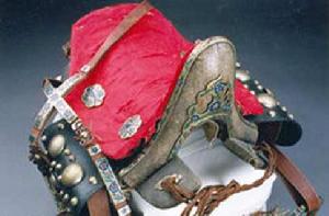 鯊魚皮馬鞍 鯊魚皮馬鞍