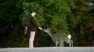 《鹿男與奈良》 《鹿男與奈良》