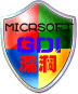 gdi漏洞