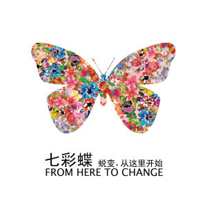 七彩蝶 七彩蝶