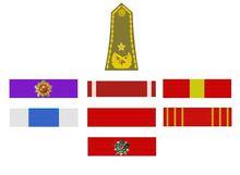 布拉若&middot;約萬諾維奇的榮譽