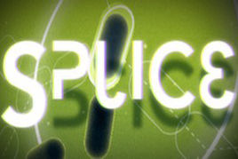 序列拼接 序列拼接