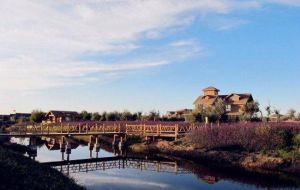 寧夏中衛金沙島 寧夏中衛金沙島