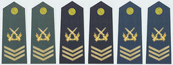 陸海空軍六級士官肩章