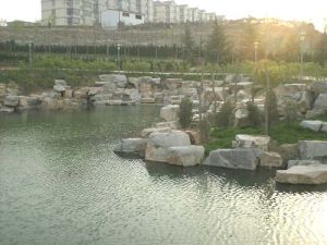 武安白鶴公園 武安白鶴公園