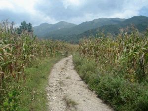 故東坪村 故東坪村