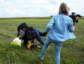 佩德拉·拉茲洛 佩德拉·拉茲洛