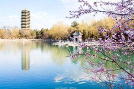 春滿燕園 春滿燕園