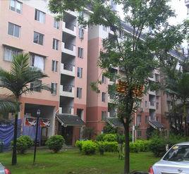 南台新苑(茶花園) 南台新苑(茶花園)