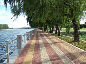 大河頭村 大河頭村