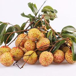 觀音綠荔枝 觀音綠荔枝