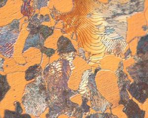 全國大學生金相技能大賽 全國大學生金相技能大賽