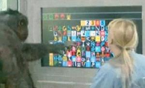 倭黑猩猩機器人 倭黑猩猩機器人