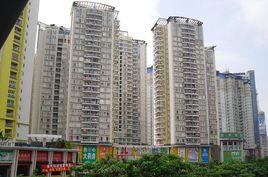 青春家園 青春家園