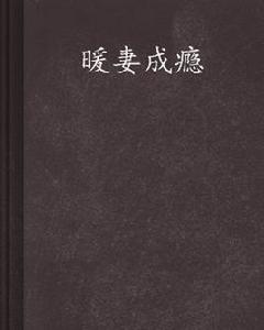 暖妻成癮[瀟湘書院小說]