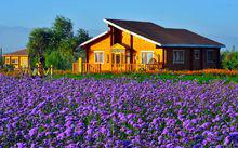 中國西部最浪漫的旅遊休閒度假區