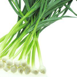 蒜苗 蒜苗
