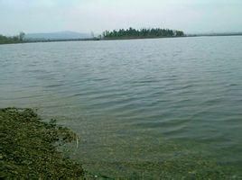 大同文瀛湖 大同文瀛湖