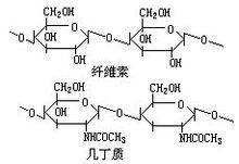 纖維素和幾丁質分子結構圖