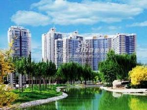 天通公園裡 天通公園裡