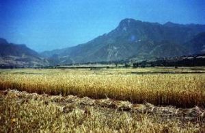 西塬化石出土地 西塬化石出土地