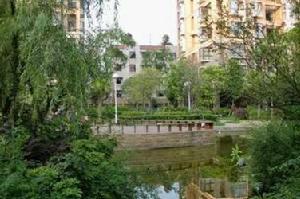 三和南錦 三和南錦