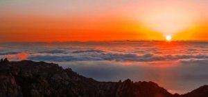 親子青島一票通