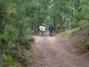 上貴宅自然村 上貴宅自然村
