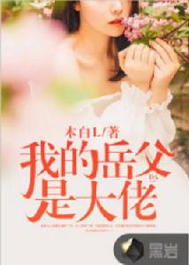 我的岳父是大佬[黑岩網小說]