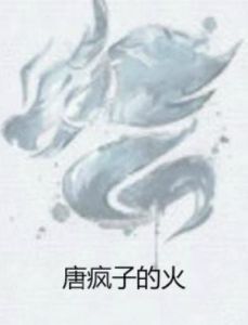 唐瘋子的火 唐瘋子的火