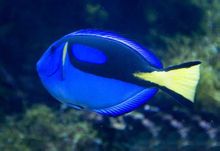 北京海洋館劇照